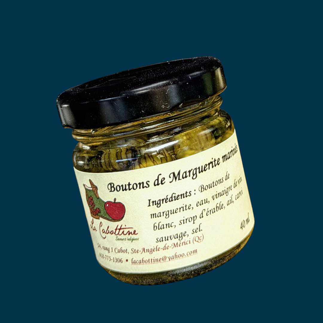 Boutons de marguerite marinés