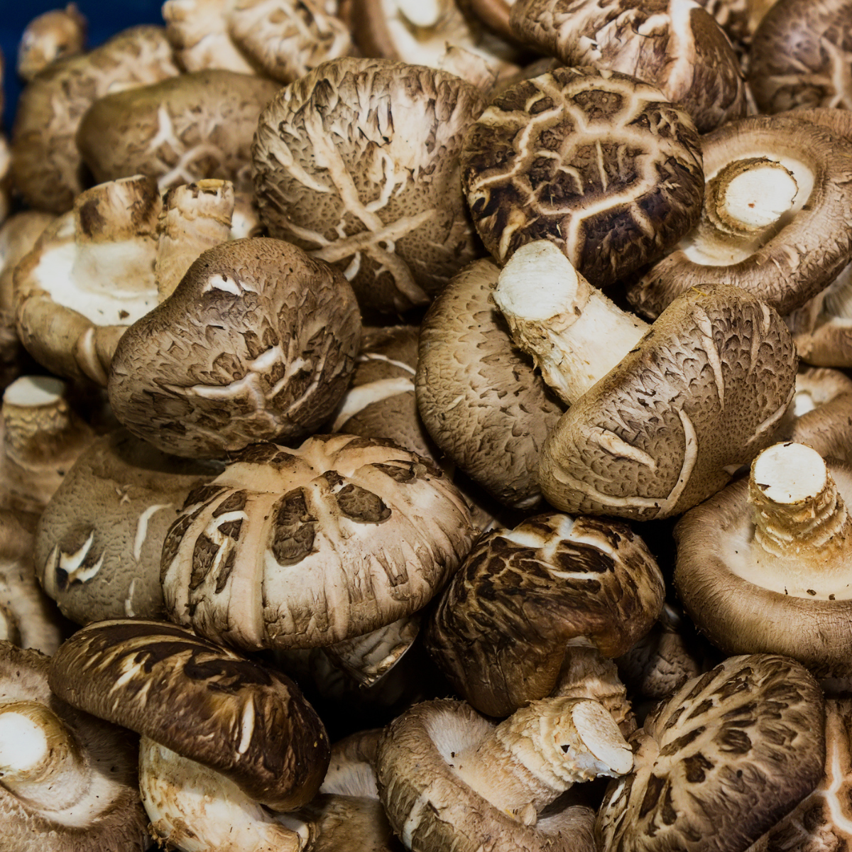 Saucisson aux shiitakes