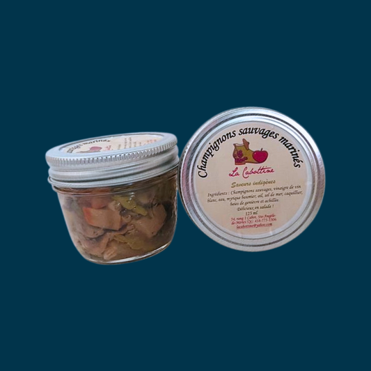 Champignons sauvages marinés