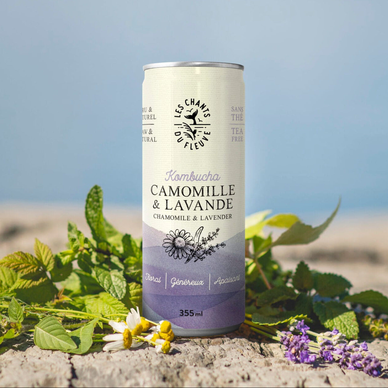 Kombucha Camomille et lavande par Les Chants du Fleuve