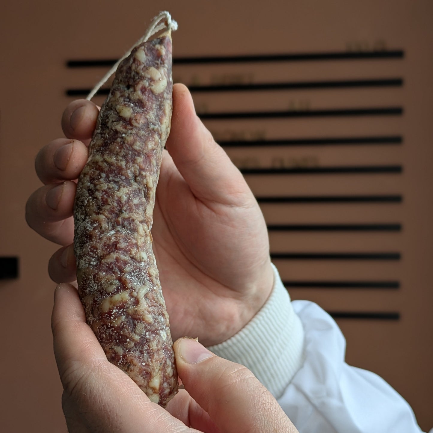 Saucisson aux shiitakes